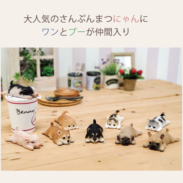 デバリエ ca216cbk-s【正規品】犬の置物 黒柴 カップラーメン マグネット レジン製 ギフト 最適なプレゼント