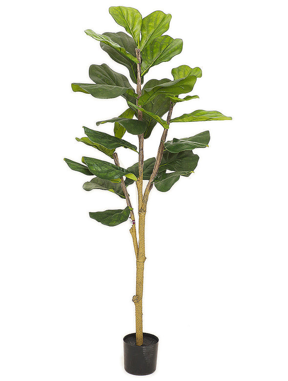 [ジュエリーギフト・デバリエ＆ファンシー] tree-03 人工観葉植物 ウンベラータ 造花 空間 快適 お手入れ不要 モダン