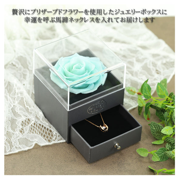 [デバリエ] y497g-blu 馬蹄 ネックレス レディース クリスマス プレゼント ピンクゴールド 誕生日プレゼント 女性 人気 幸運 揺れる ホースシュー ラッピング付(ネックレス1組 バラのジュエリーケース1組）